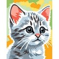 Gatto grigio
