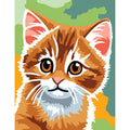 Gatto rosso