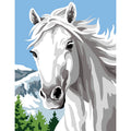 Cavallo