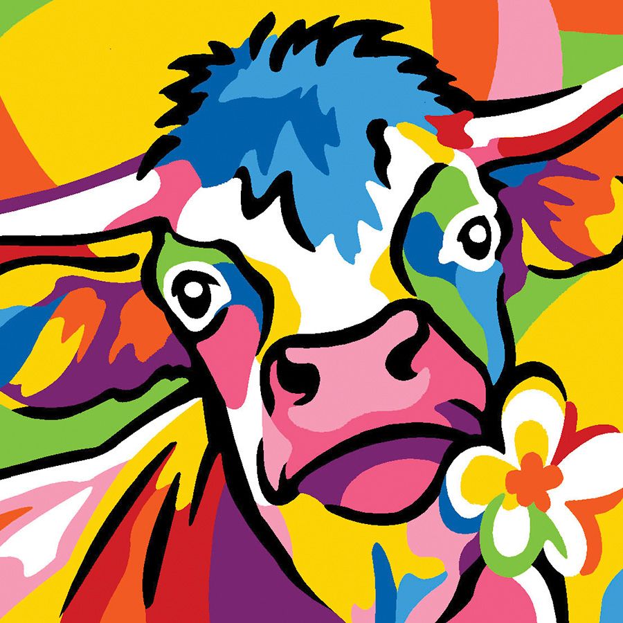 Mucca