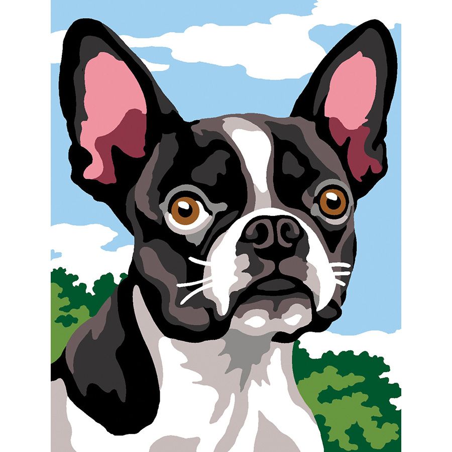 Bulldog
