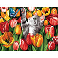 Gatto tra i tulipani colorati