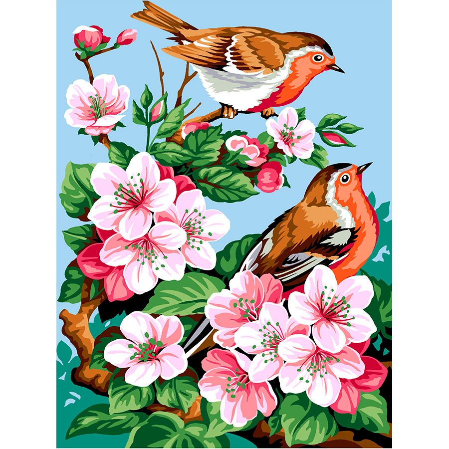 Pettirossi tra i fiori