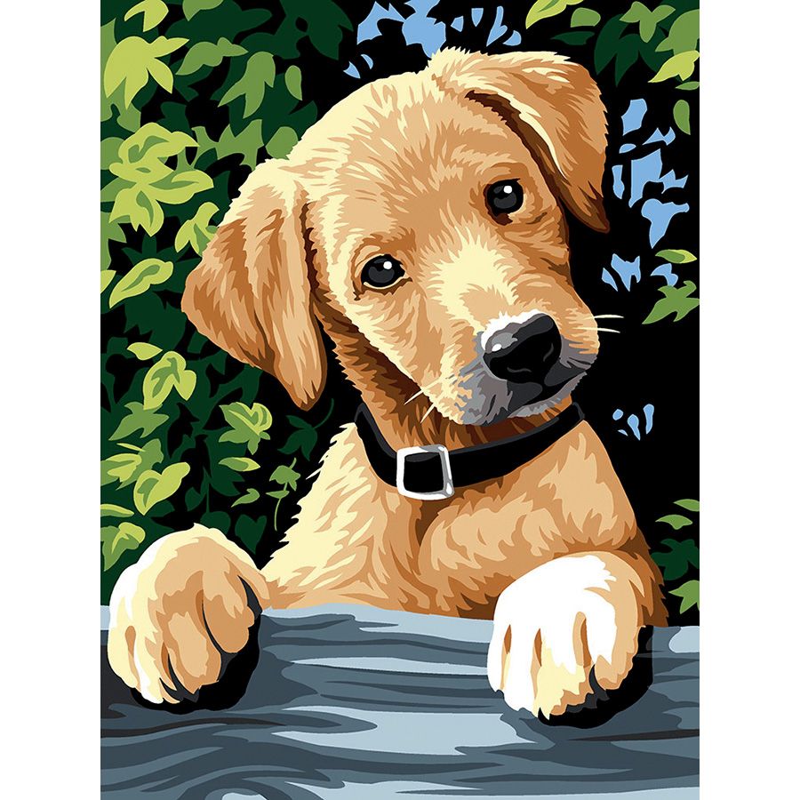 Labrador cucciolo sorpreso