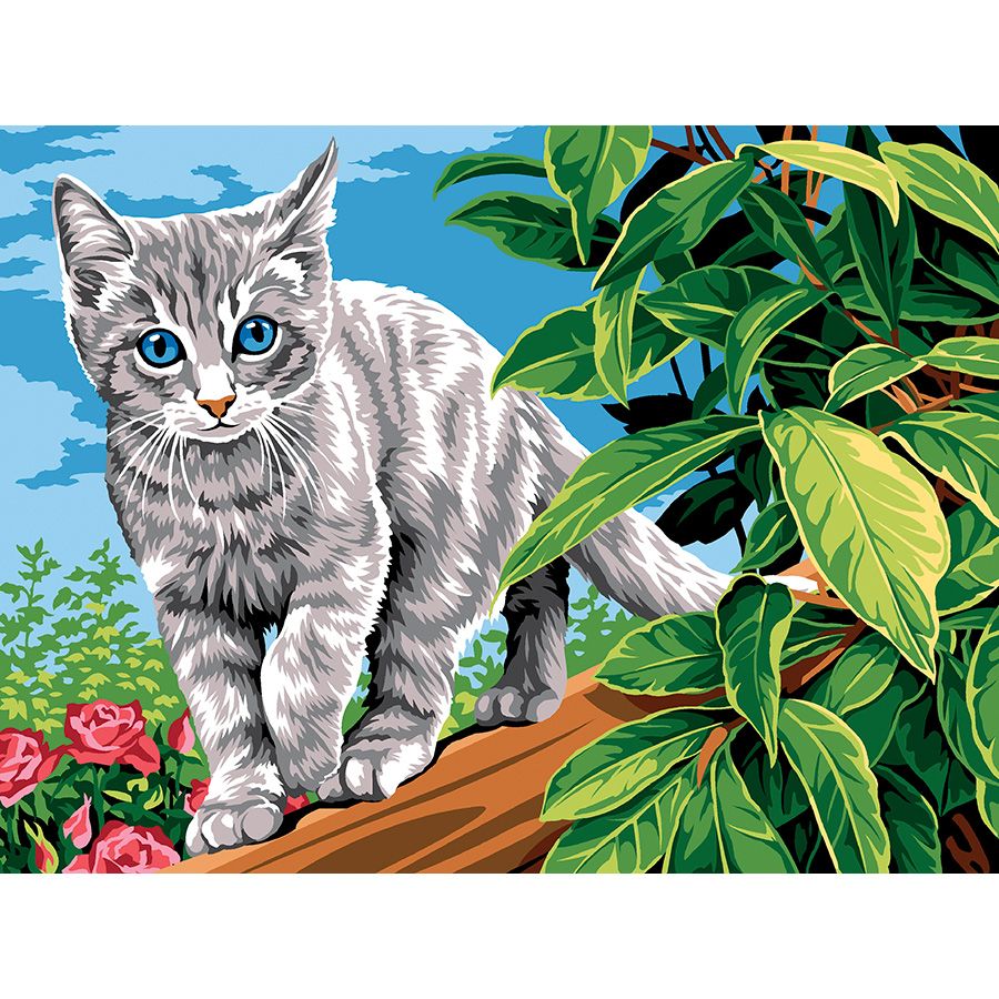 Gatto sul ramo