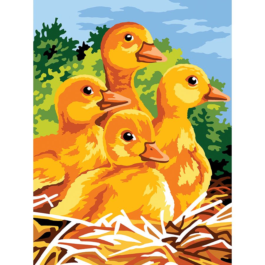 Quattro anatroccoli