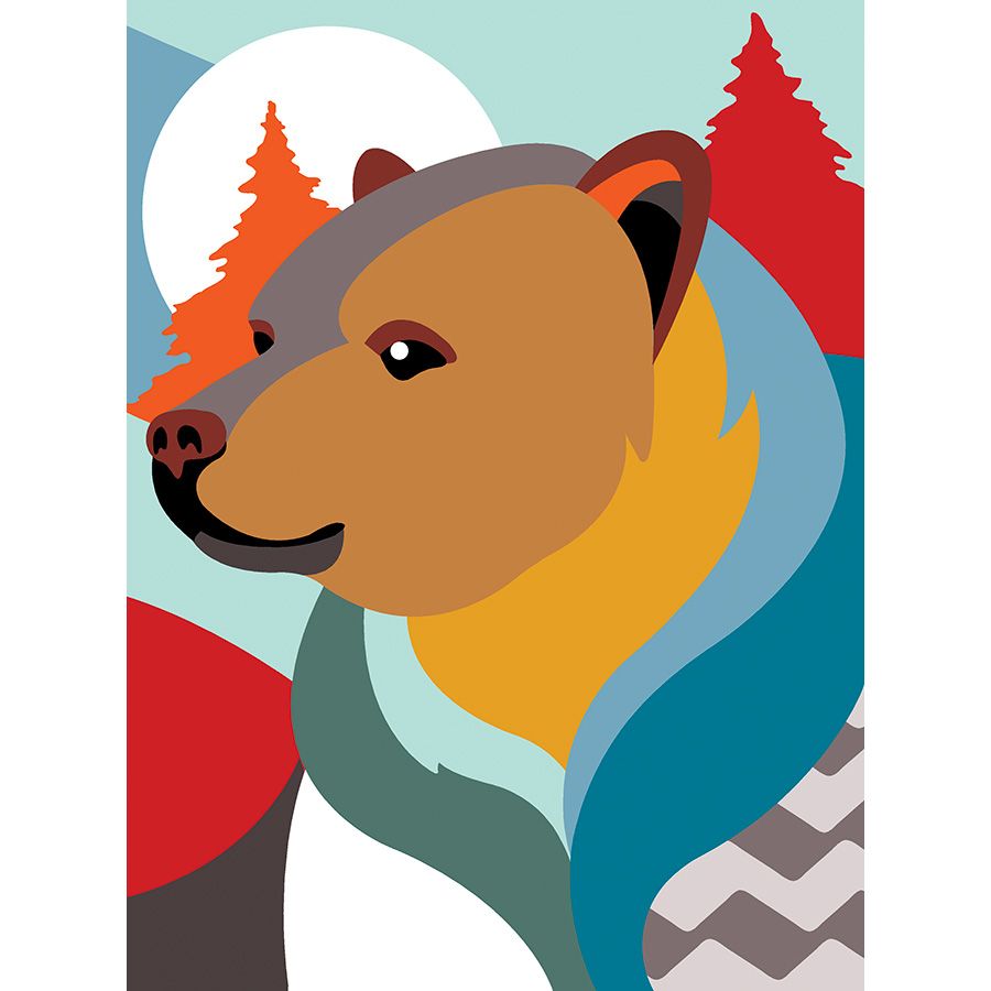 Orso geometrico