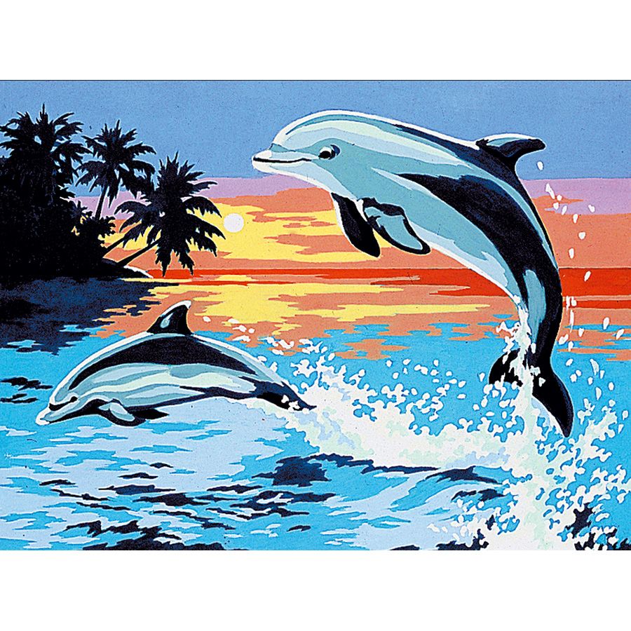 I delfini al tramonto