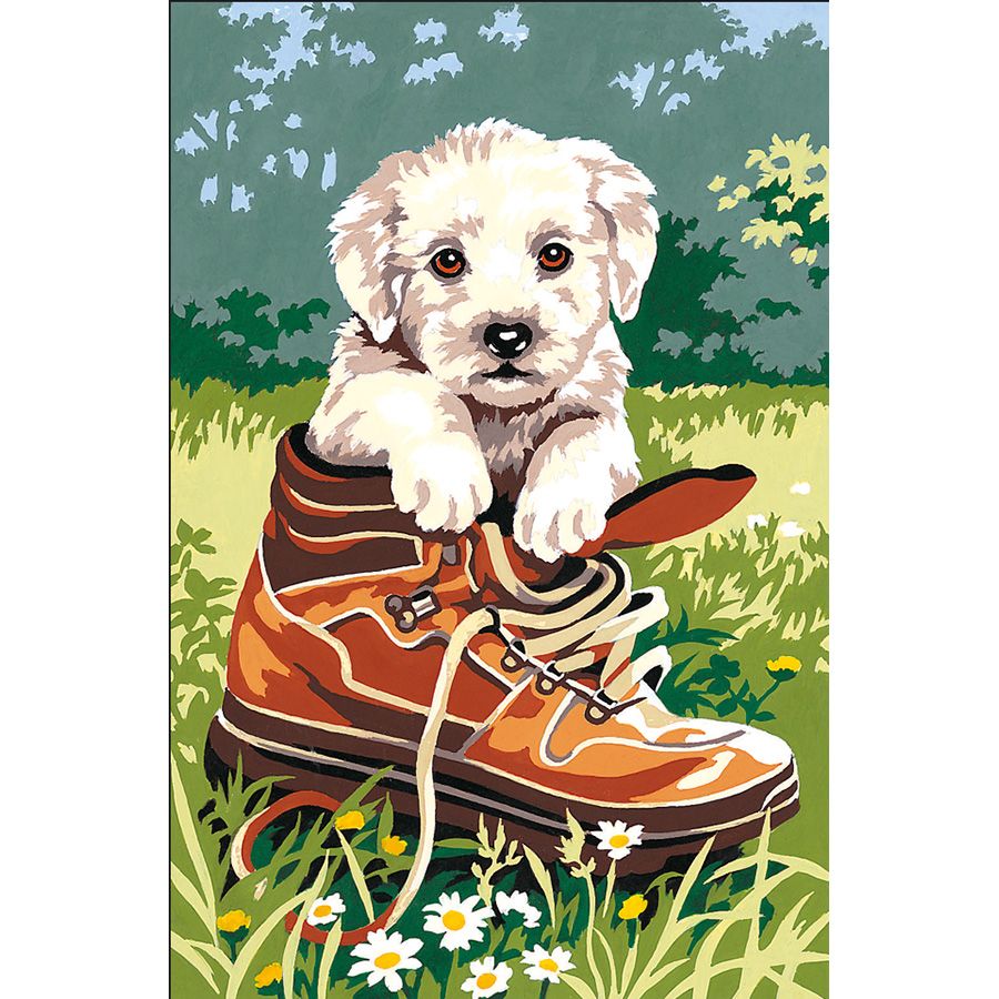 Cane bianco nella scarpa