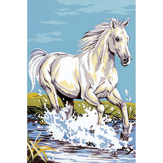 Cavallo bianco nel fiume