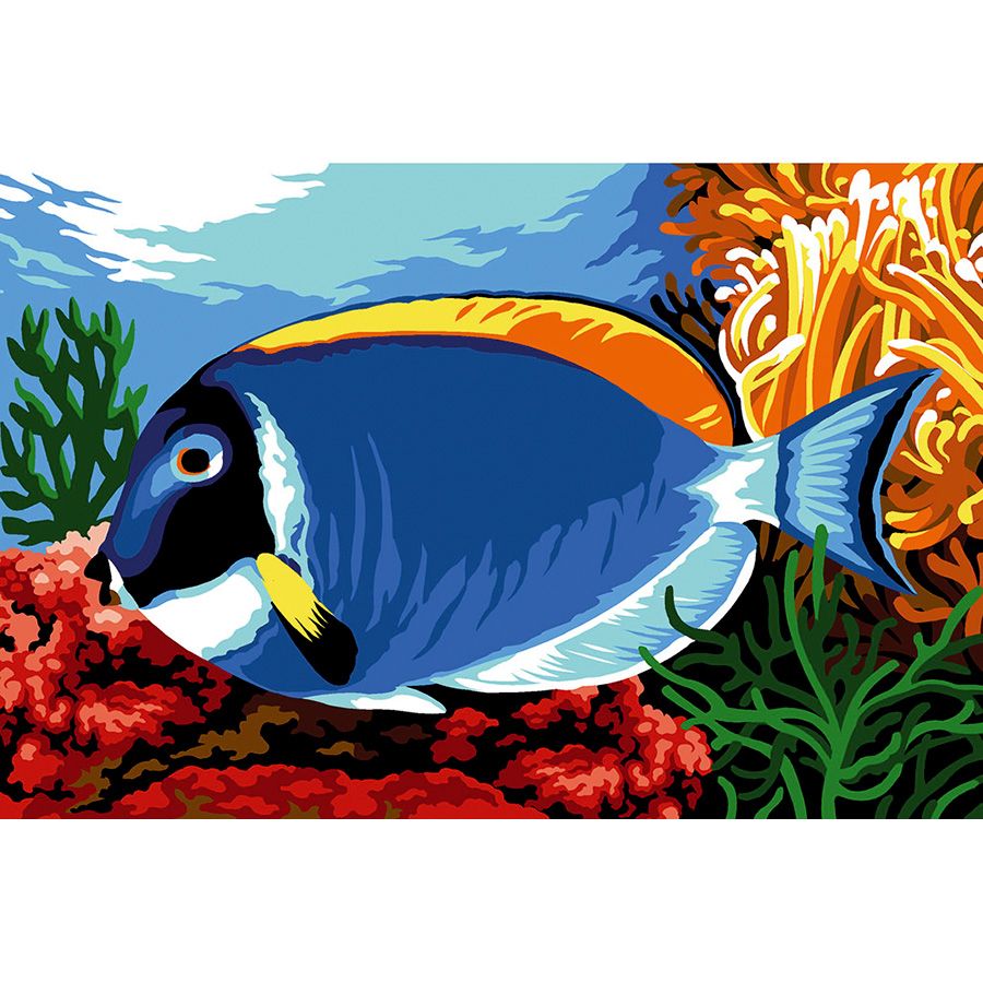 Pesce chirurgo blu