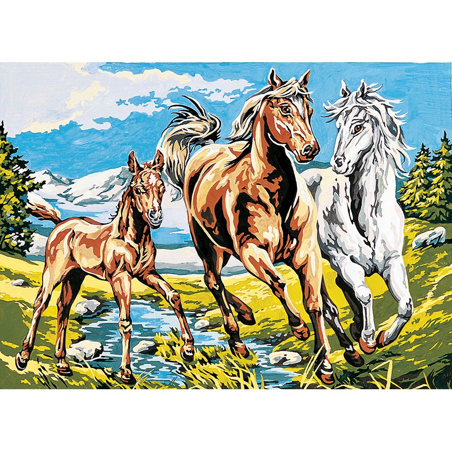Famiglia di cavalli sul torrente