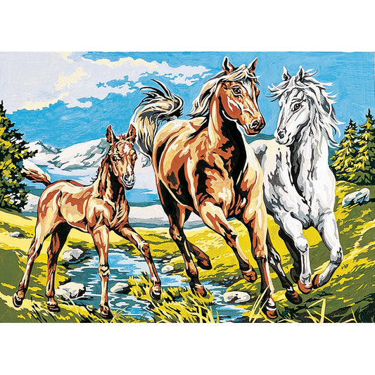 Famiglia di cavalli sul torrente