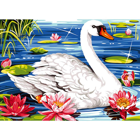 Cigno tra le ninfee