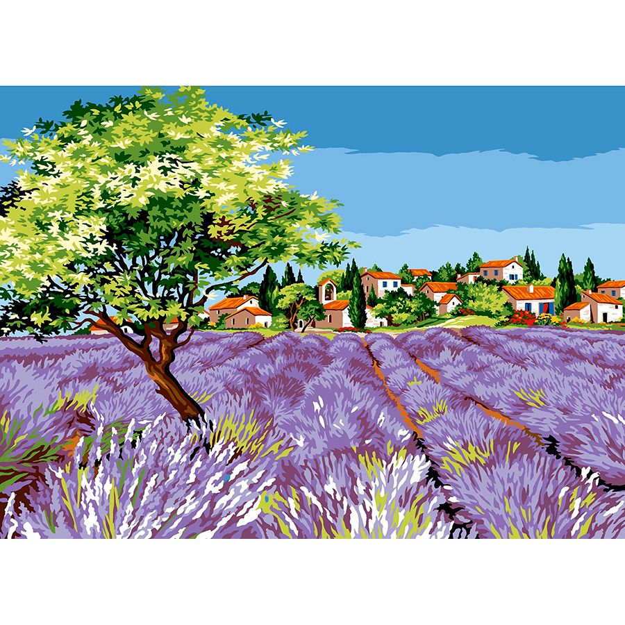 Campo di fiori viola