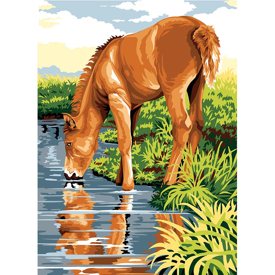 Riflesso del cavallo