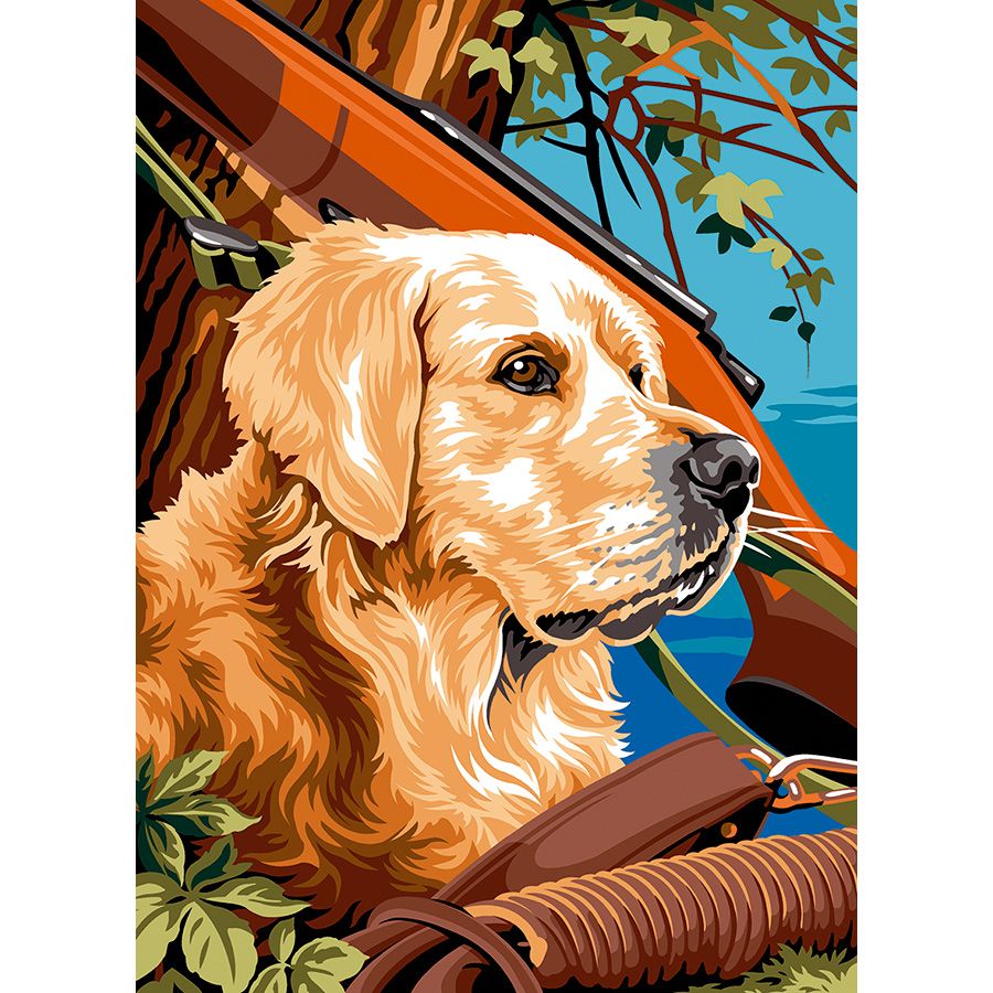 Labrador da caccia