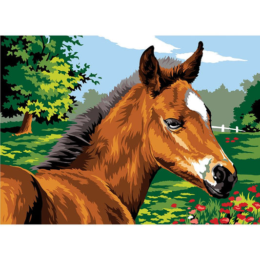 Il cavallo nel prato