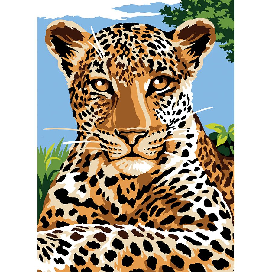 Il ghepardo