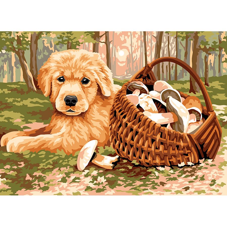 Il cane e il cestino di funghi