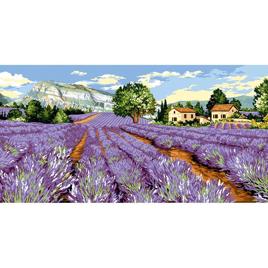 Ampio campo di fiori viola