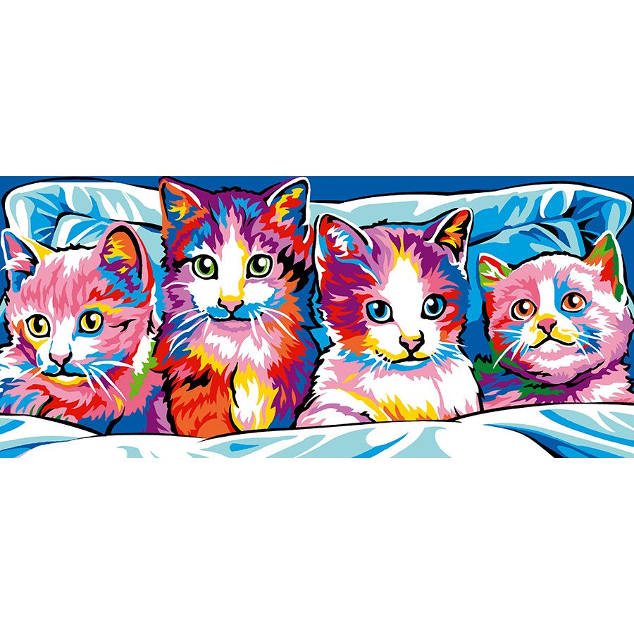 Gatti multicolore