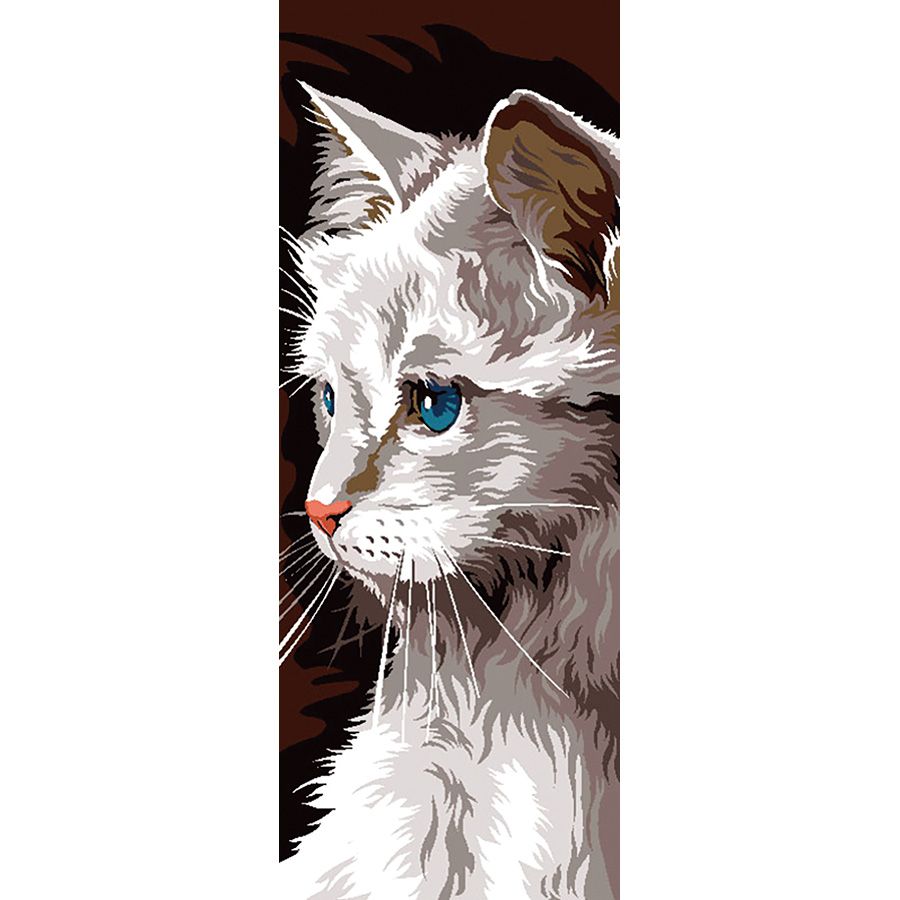 Gatto bianco dagli occhi blu