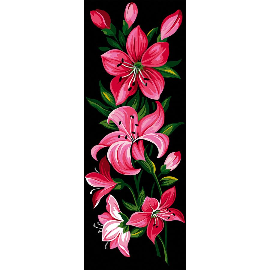 Orchidee rosa