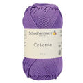 Viola - 00113