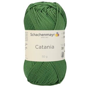 Cachi - 00212