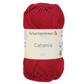 Fragola - 00258