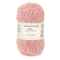Rosa antico - 01038