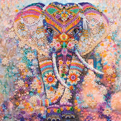 Miracolo dell'India