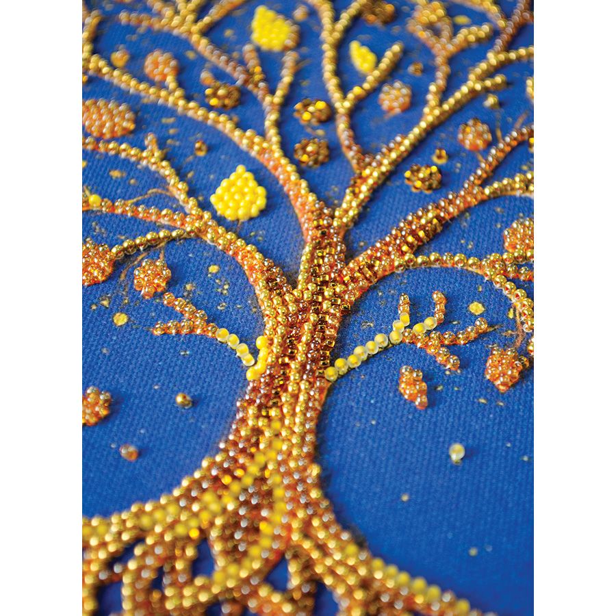 Splendore della vita