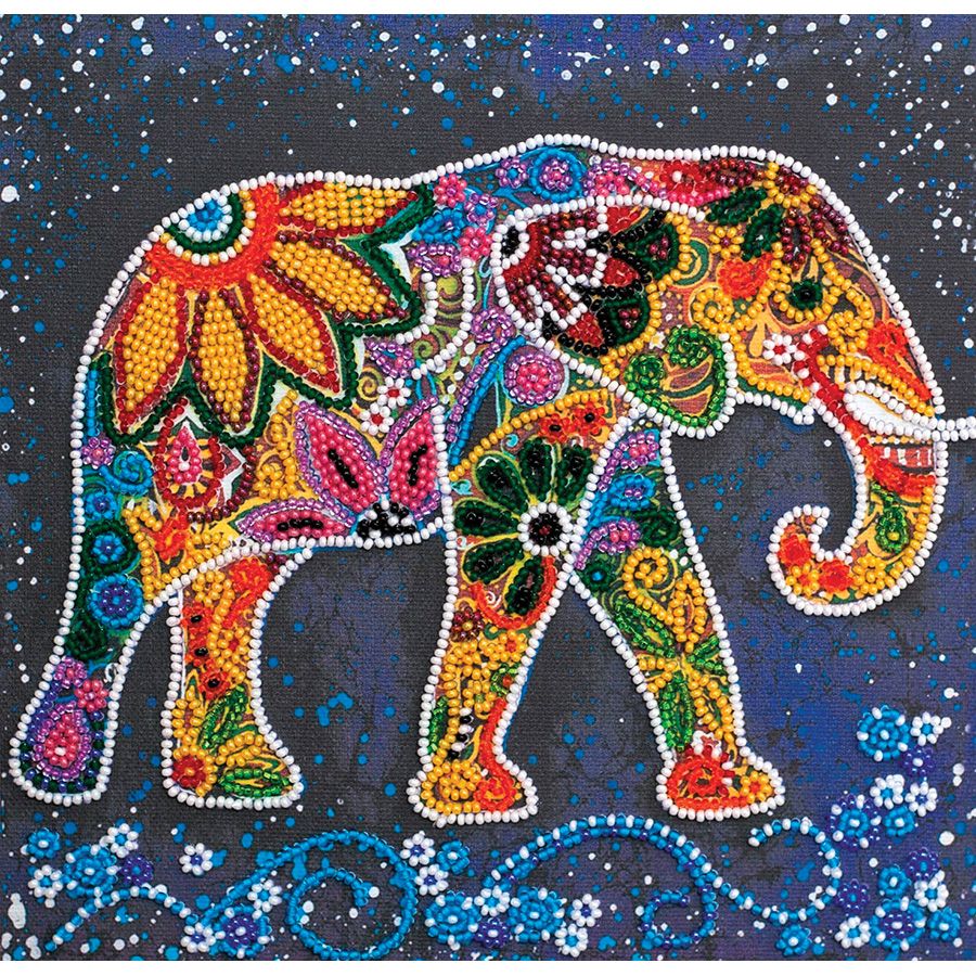 Elefante indiano