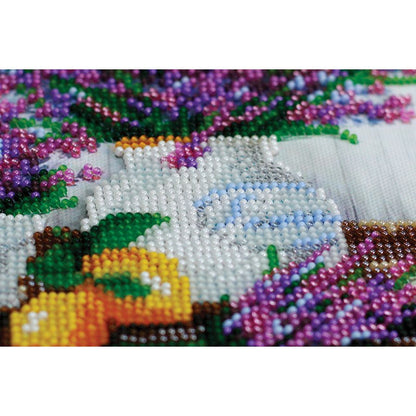 Profumo di lavanda