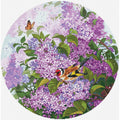 lillà da giardino