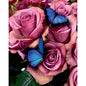 Belle rose