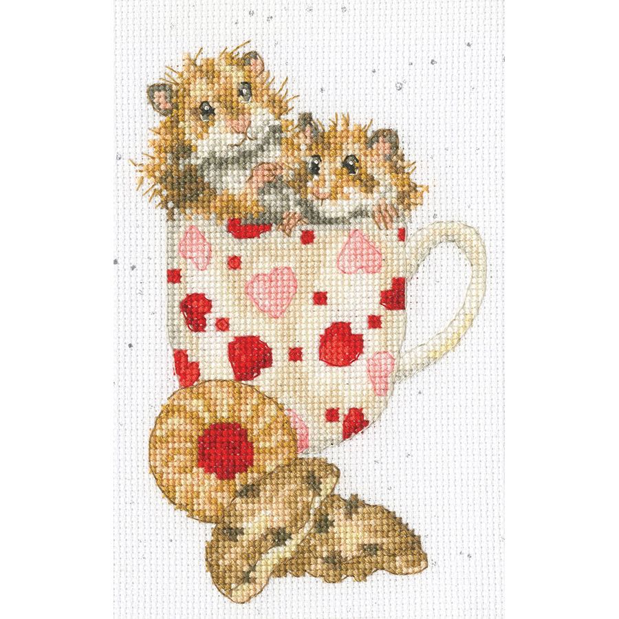 Compleanno e biscotti