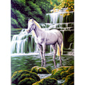 Cavallo bianco nella cascata