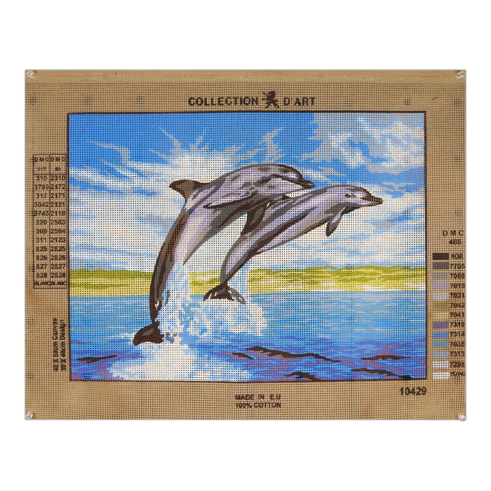 Delfini in salto