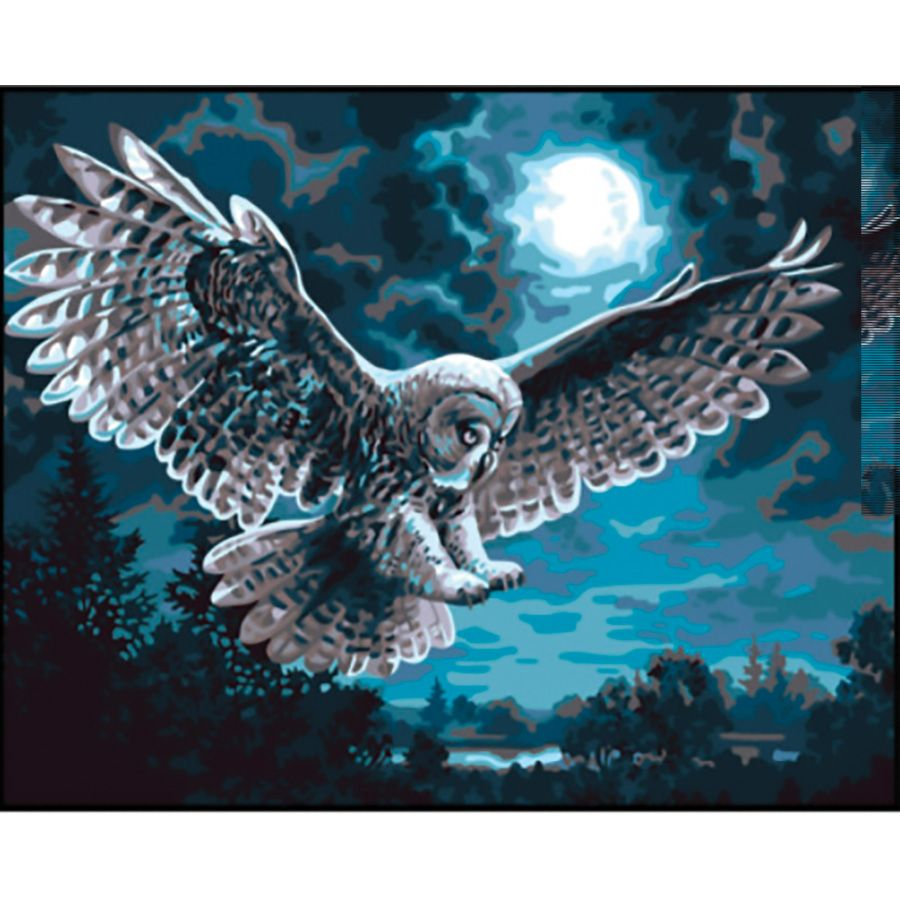 La maestosa civetta di notte