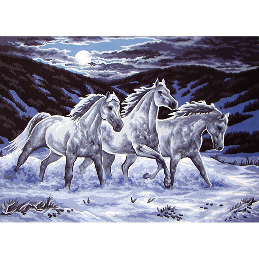 I tre cavalli bianchi di notte