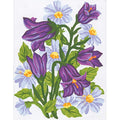 Campanule viola