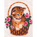 Gatto nel cesto