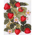Fragole