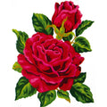 Rosa rossa