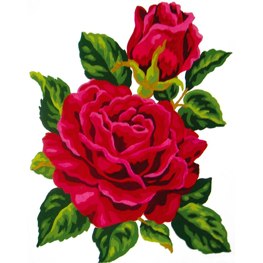 Rosa rossa