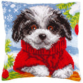 Shih Tzu con maglione