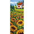 Campo di girasoli